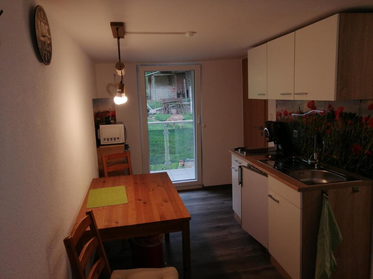 Kleine Wohnung Wutoschingen Экстерьер фото