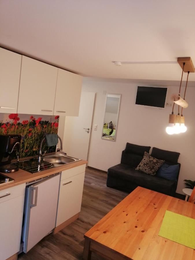 Kleine Wohnung Wutoschingen Экстерьер фото